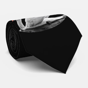 White Swan op Lake Stropdas