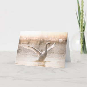 White Swan op meer natuur foto Kaart