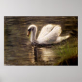White Swan Painting Poster (Voorkant)
