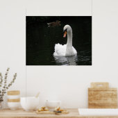 White Swan Poster (Keuken)