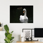 White Swan Poster (Thuiskantoor)