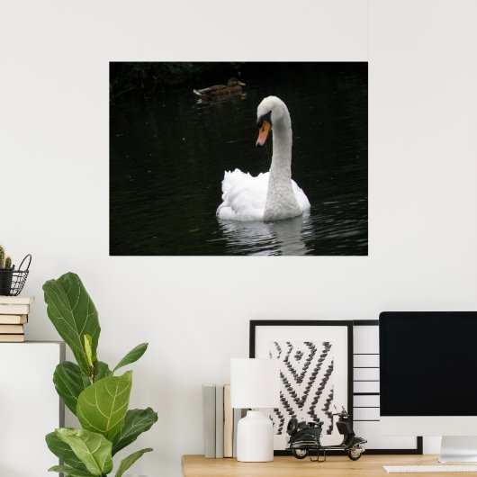 White Swan Poster (Thuiskantoor)