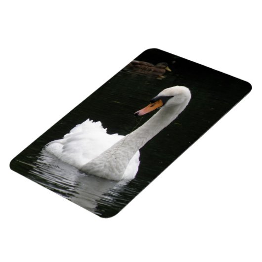 White Swan Premium Magnet Magneet (Linkerzijde)