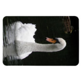 White Swan Premium Magnet Magneet (Horizontaal)
