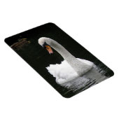 White Swan Premium Magnet Magneet (Rechterzijde)
