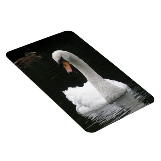 White Swan Premium Magnet Magneet (Rechterzijde)