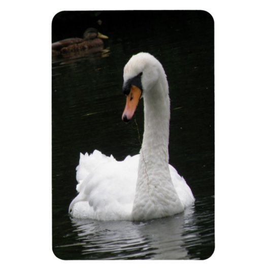 White Swan Premium Magnet Magneet (Verticaal)
