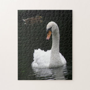 White Swan Puzzle Legpuzzel