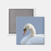 White Swan Refkoelkast Magnet (Voorkant / Achterkant)