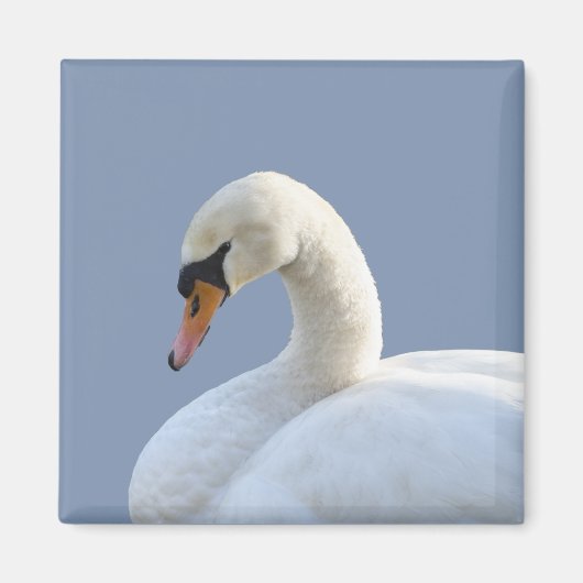 White Swan Refkoelkast Magnet (Voorkant)
