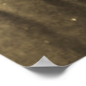 White Swan Sioux Chief Native American Poster (Hoek)