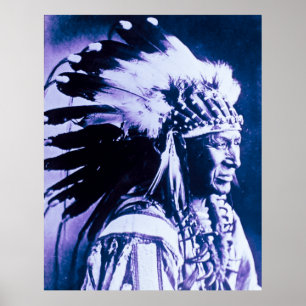 White Swan Sioux Chief Native American Poster