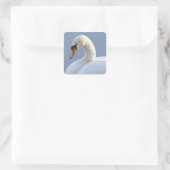 White Swan Stickers (Tas)