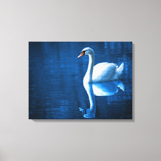 White Swan Swimming in a Lake Canvas Print