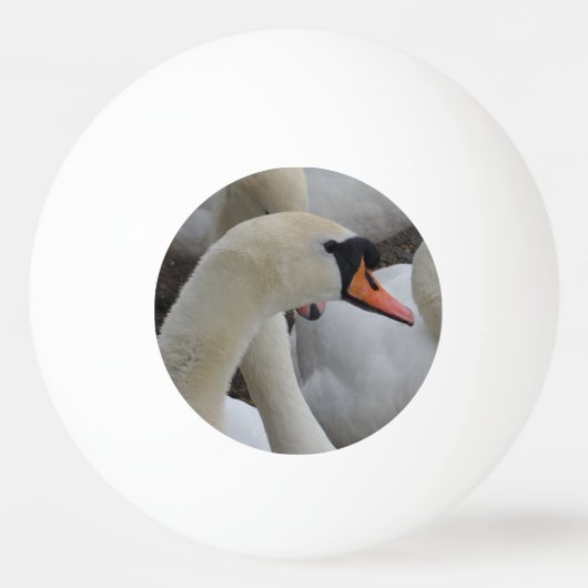 White Swan Three Star Ping Pong Ball (Voorkant)