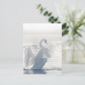 White Swan Wildlife Foto Briefkaart (Staand voorkant)