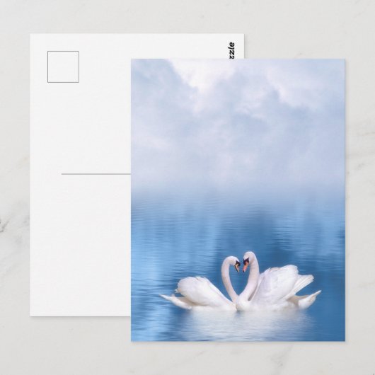 White Swans-Briefkaart Briefkaart (Voorkant / Achterkant)