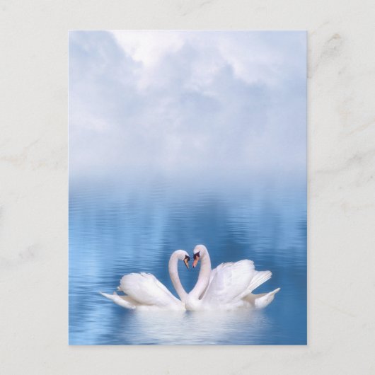 White Swans-Briefkaart Briefkaart (Voorkant)