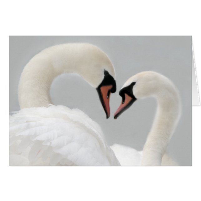 White Swans Card (Voorkant Horizontaal)