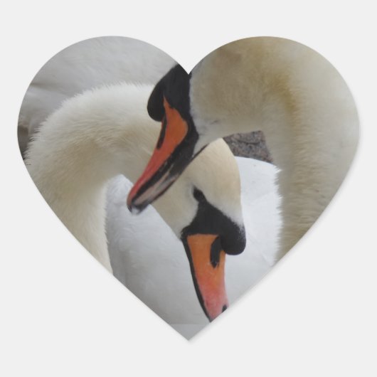 White Swans Heart Sticker (Voorkant)