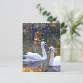 White Swans Post Card Briefkaart (Staand voorkant)