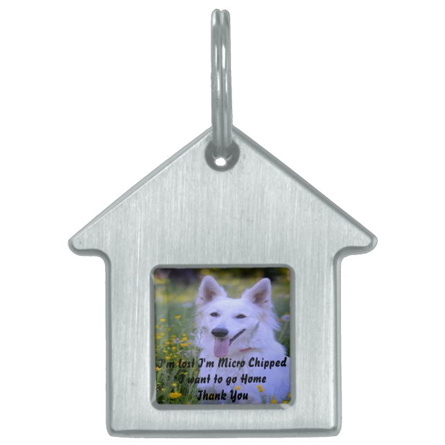 White Swiss Shepherd Dog. Huisdieren Naamplaatje (Voorkant)