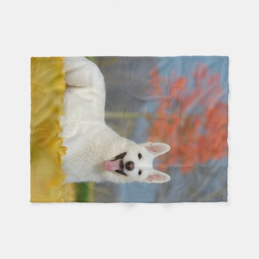 White Swiss Shepherd Dog Photo Cute Furry Friend " Fleece Deken (Voorkant (Horizontaal))