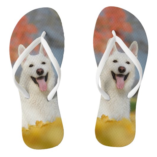White Swiss Shepherd Dog Photo/Cute Furry Friend Teenslippers (Voetbed)