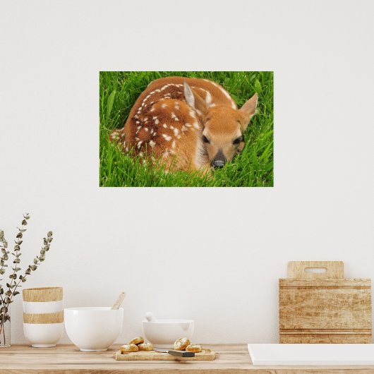 White Tail Baby Deer Poster (Keuken)