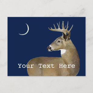 White Tail Buck Briefkaart