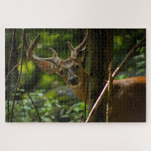 White Tail Buck Legpuzzel (Horizontaal)