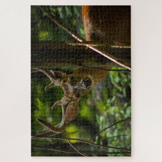 White Tail Buck Legpuzzel (Verticaal)