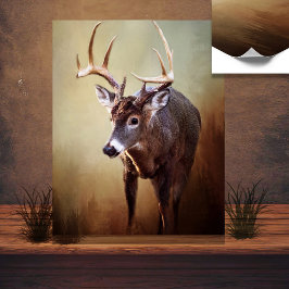 White Tail Buck-Poster Poster