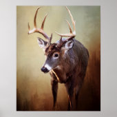 White Tail Buck-Poster Poster (Voorkant)