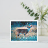 White Tail Deer Briefkaart (Staand voorkant)