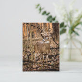 White Tail Deer Buck Briefkaart (Staand voorkant)