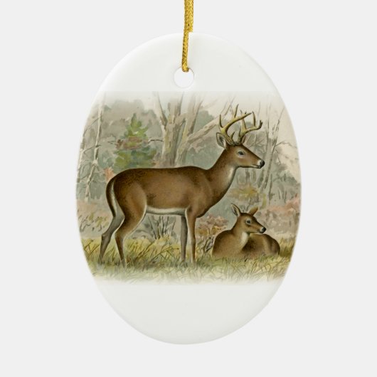 White Tail Deer Buck - Doe Keramisch Ornament (Voorkant)