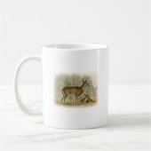 White Tail Deer Buck - Doe Koffiemok (Links)