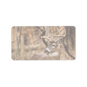 White Tail Deer Buck Etiket (Voorkant)