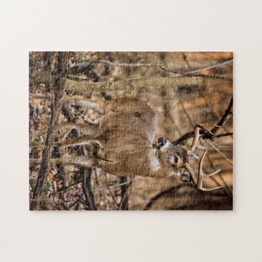 White Tail Deer Buck Legpuzzel (Horizontaal)