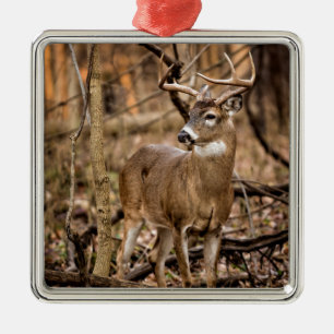White Tail Deer Buck Metalen Ornament