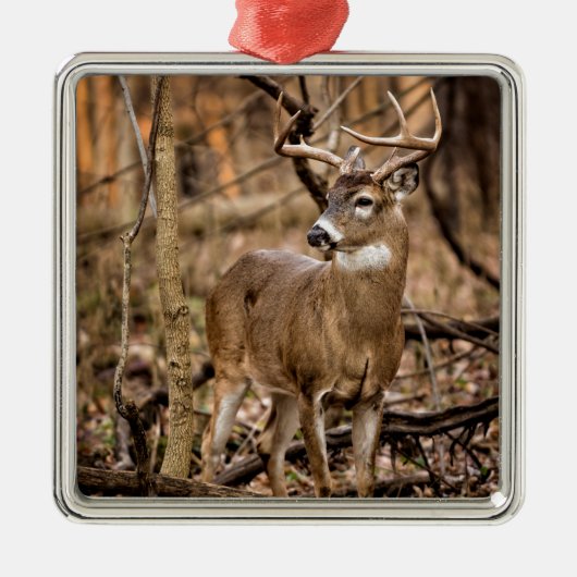 White Tail Deer Buck Metalen Ornament (Voorkant)