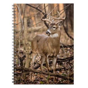 White Tail Deer Buck Notitieboek