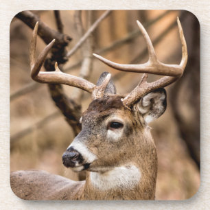 White Tail Deer Buck Onderzetter