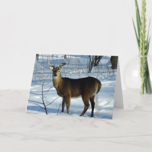 White Tail Deer (Buck) Winter Wenskaart Kaart