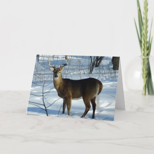White Tail Deer (Buck) Winter Wenskaart Kaart (Voorkant)