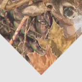 White Tail Deer Head Herfst Energie gecentreerd op Tissuepapier (Detail)