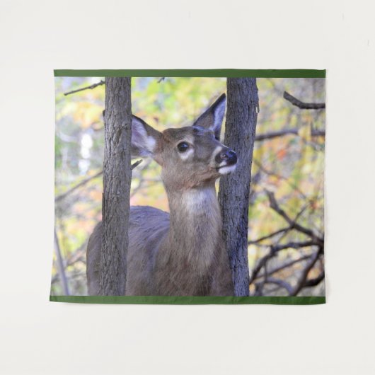 White Tail Deer in de bomen Wandkleed (Voorkant (horizontaal))