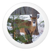 White Tail Deer in Snow Keramische Knop (Voorkant)
