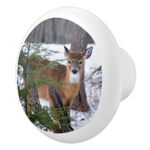 White Tail Deer in Snow Keramische Knop